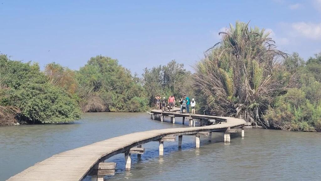 במהלך היום יהיה חם מהרגיל (צילום: תמר עבדת, רשות הטבע והגנים) מטיילים בשמורת עין אפק, שמחת תורה