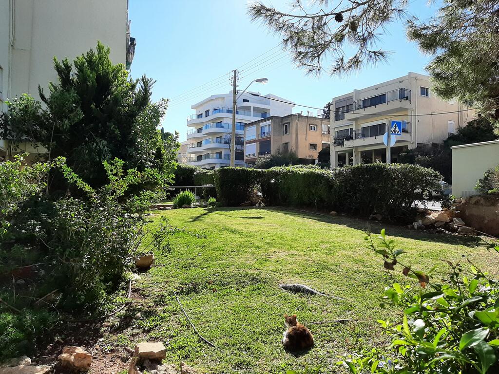 חצר משותפת לפני תמ"א 38 בשכונת כרמליה בחיפה (צילום: עופרי חותה ציטלין) חצר משותפת לפני תמ"א 38 בשכונת כרמליה בחיפה