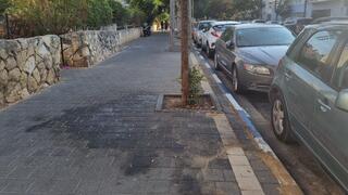 מדרכה דביקה בשכונת יד אליהו בתל אביב