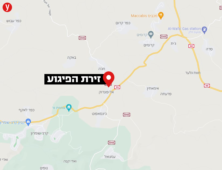 זירה זירה