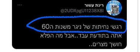 פעילת הליכוד רינת עשור התבטאה בגזענות כלפי אתיופים