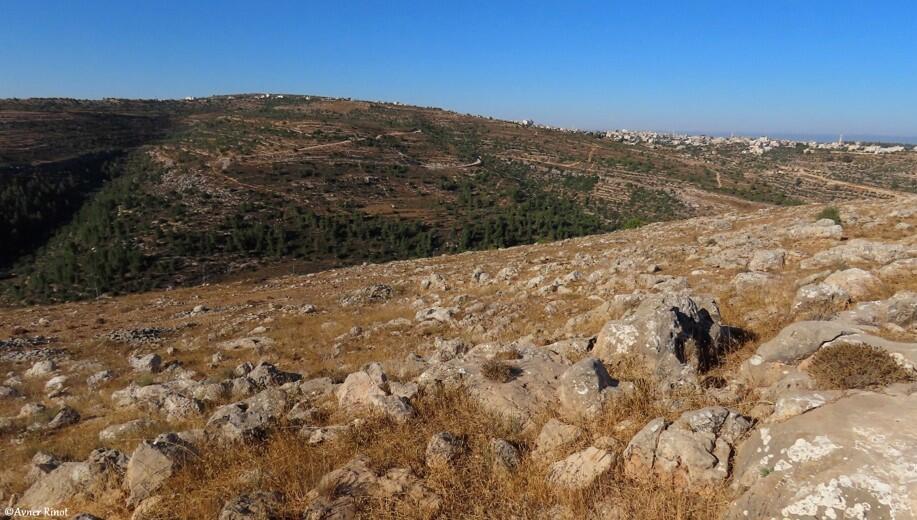התוכניות שמאיימות על הטבע ביהודה ושומרון
