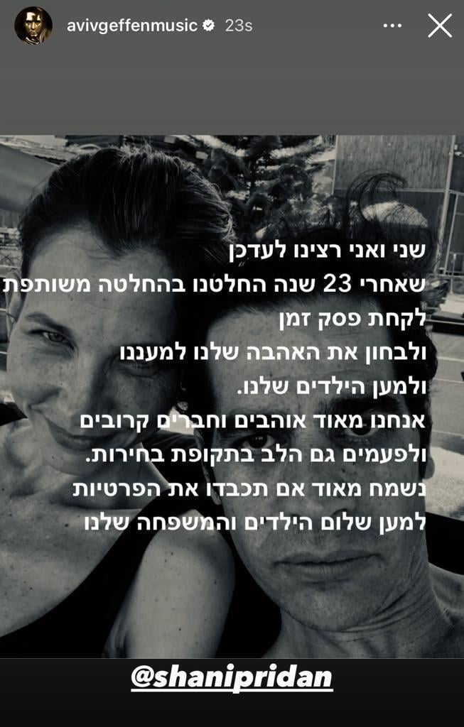 אביב גפן