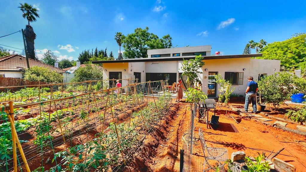 בית מגורים במושב. פתחי אור ממוקמים מעל למרכז הבית ומכניסים אור נוסף פנימה (צילום: איל יוסינגר אדריכלים) בית מגורים במושב. פתחי אור ממוקמים מעל למרכז הבית ומכניסים אור נוסף פנימה