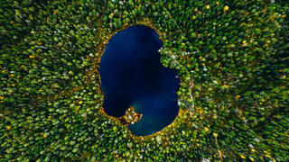 אגם קטן בפינלנד