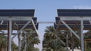 Agrovoltaics in Israel's Arava desert 