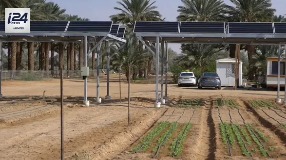 Agrovoltaics in Israel's Arava desert 