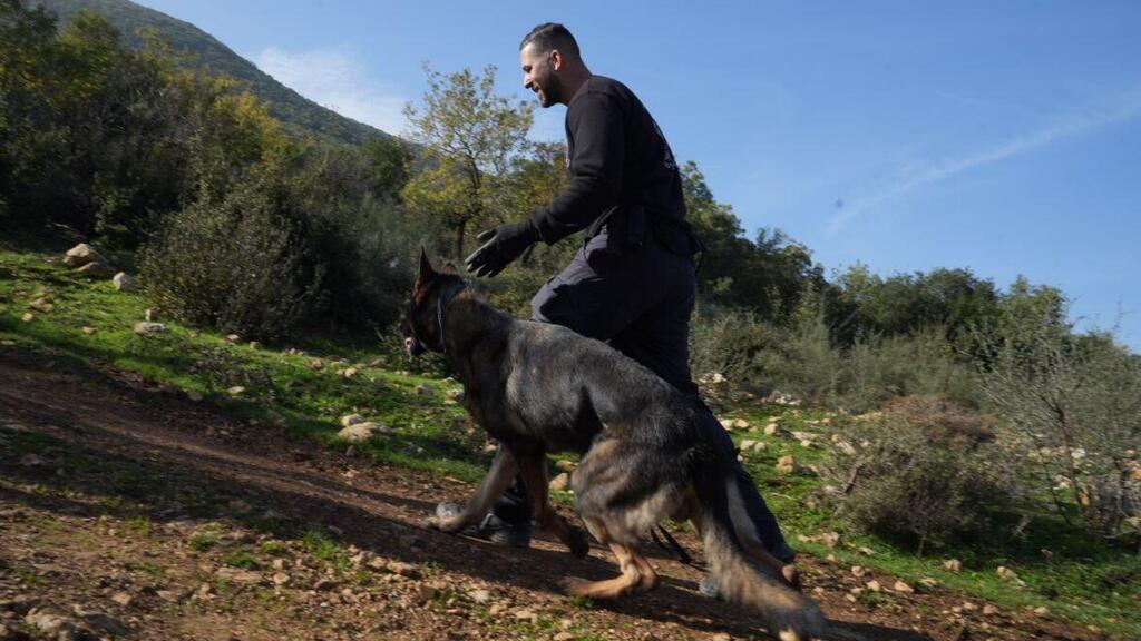חיפושים מוישי קליינרמן באזור הר מירון נעדר