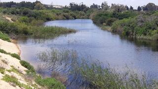 שמורת חולות זיקים 