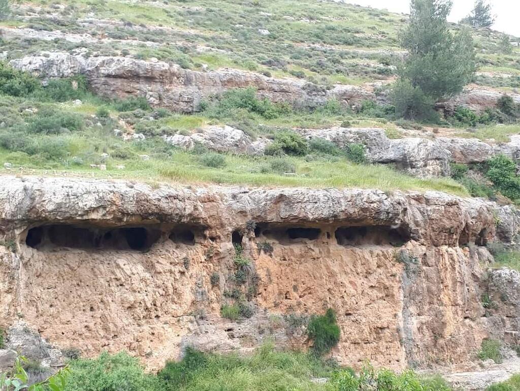 שיא של שמורות טבע חדשות, אבל הן קטנות הרבה יותר