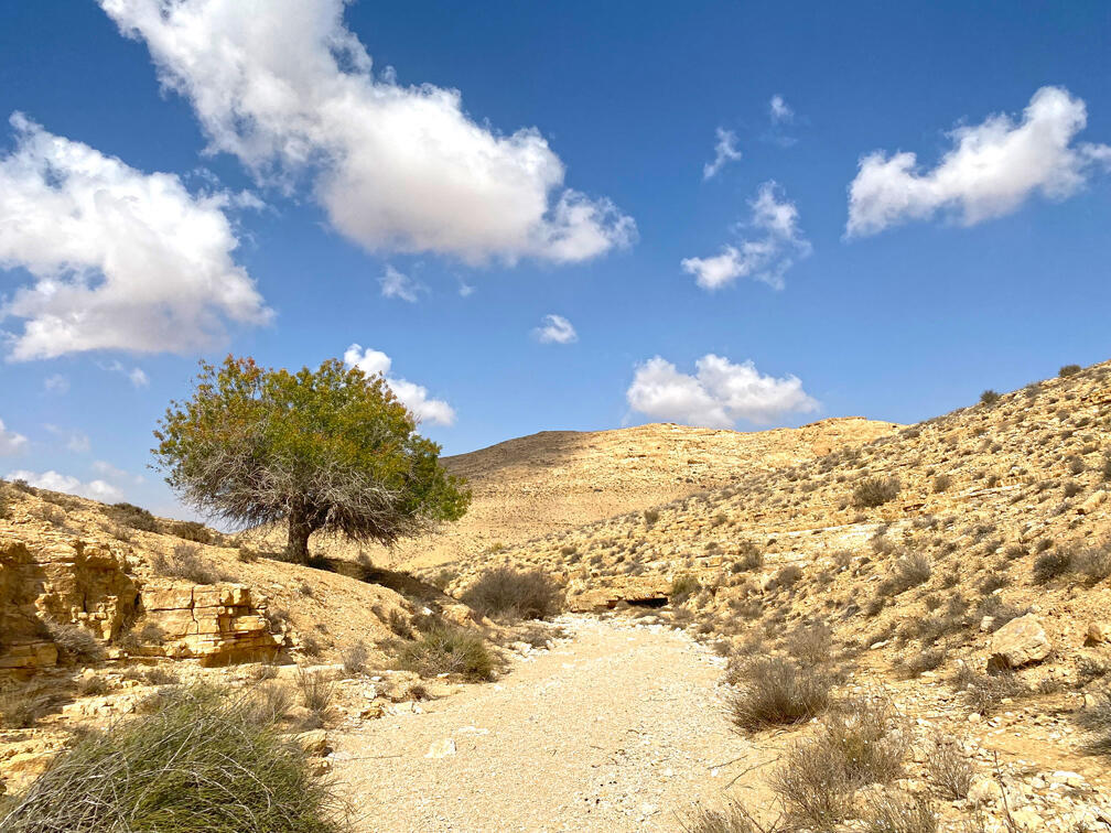 כביש הטיולים בנגב סגור כבר שנה: למה זה תקוע? | שאלות ותשובות