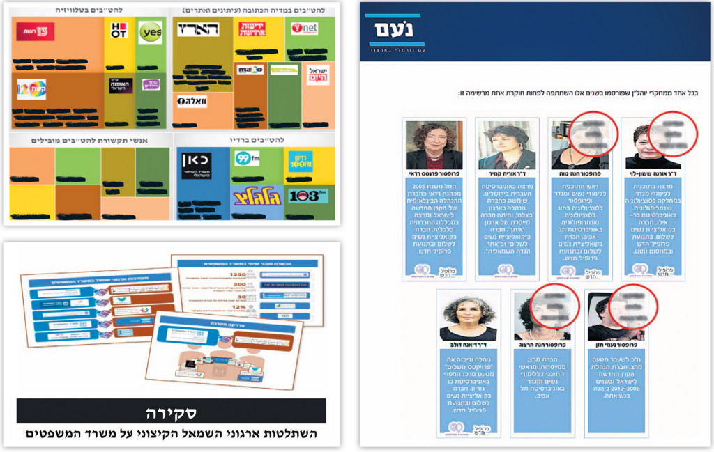 שלל גרפיקות מתוך מסמכי מפלגת נעם (צילום: מפלגת נעם) שלל גרפיקות מתוך מסמכי מפלגת נעם