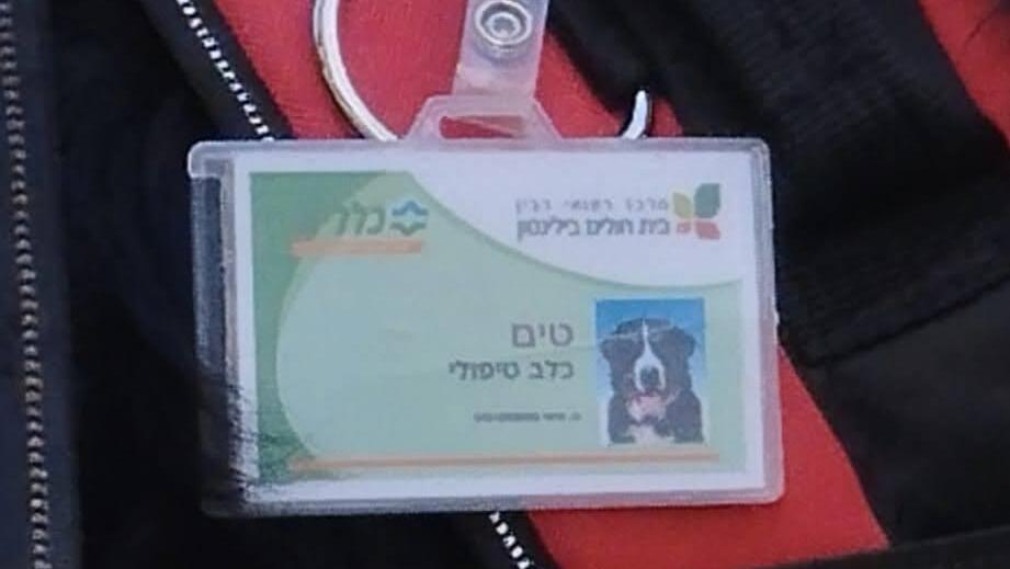 Therapy dog bare the necessary ID