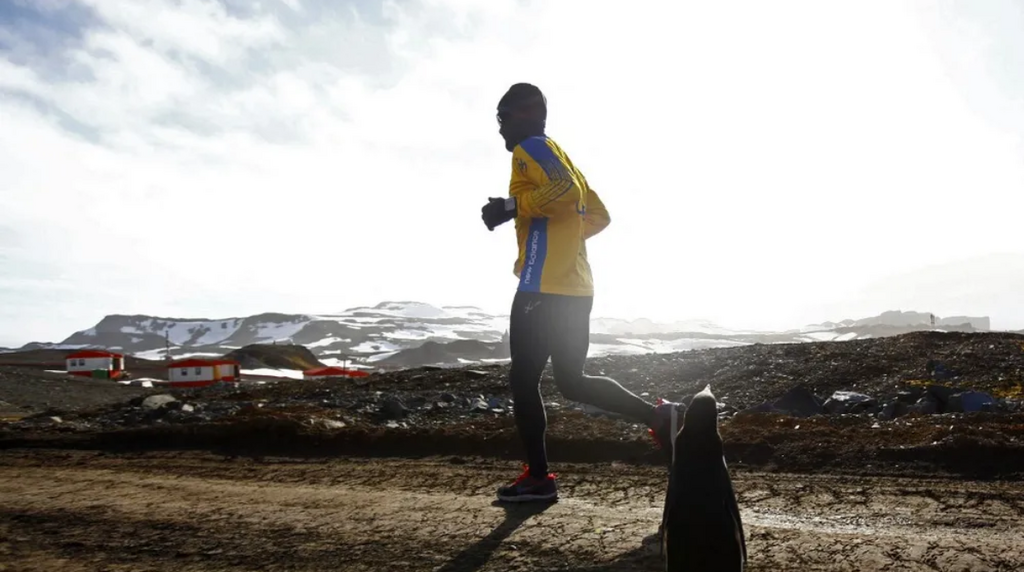 A runner passes a penguin as he takes part in a marathon in Antarctica 