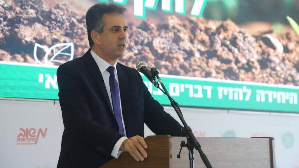 אלי כהן