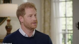 הנסיך הארי ריאיון ל-ITV