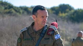 הרצי הלוי