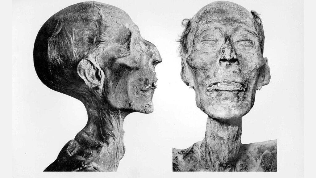 פני המומיה של רעמסס השני שנמצאה ב-1881 בדרום מצרים