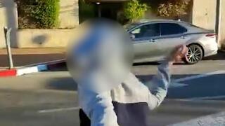 פעיל מחאה בעד הרפורמה המשפטית משליך ביצה לעבר המתנגדים