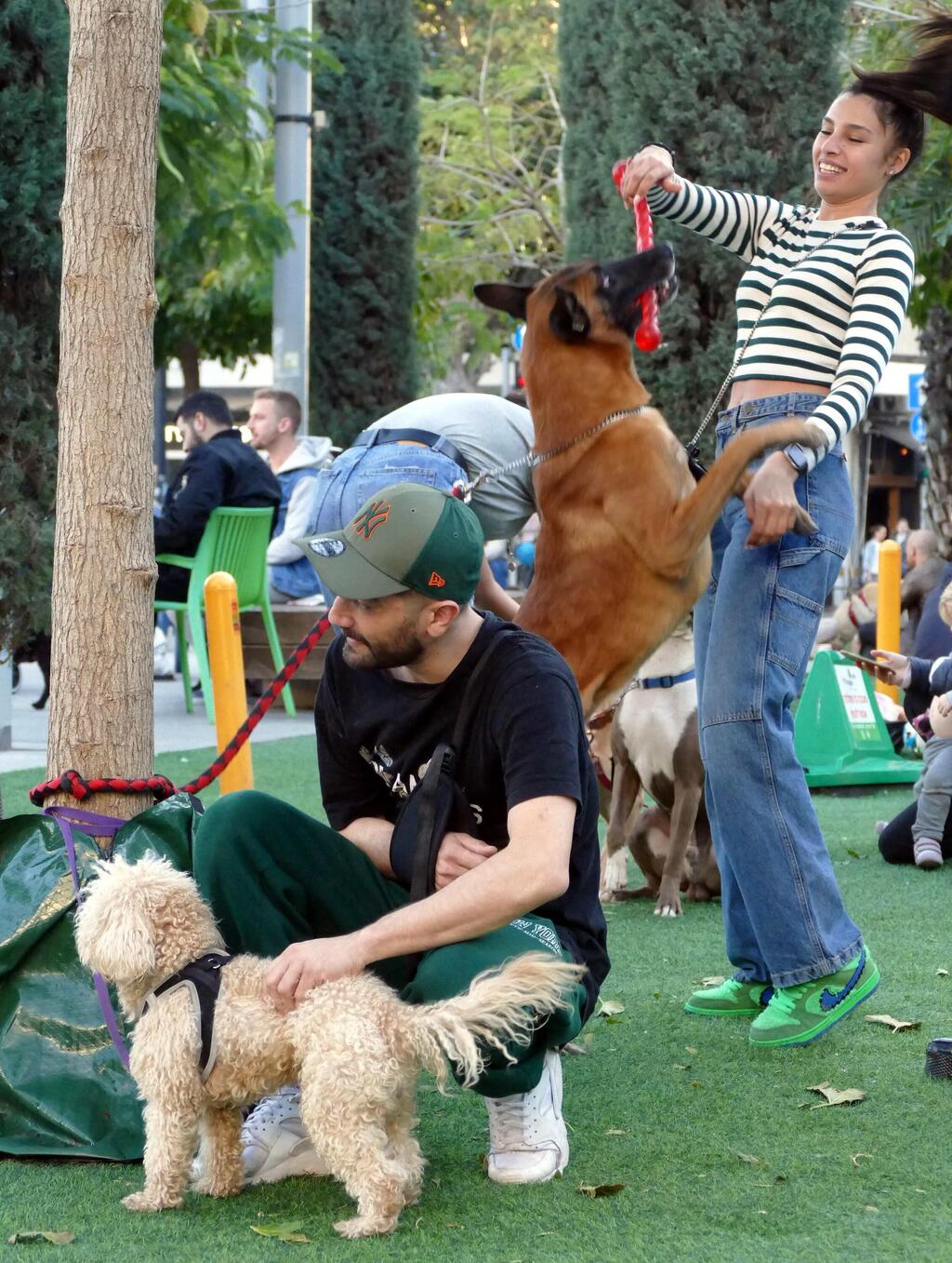 חברו הטוב ביותר של האדם (צילום: אמיר מאירי) פפראצי
