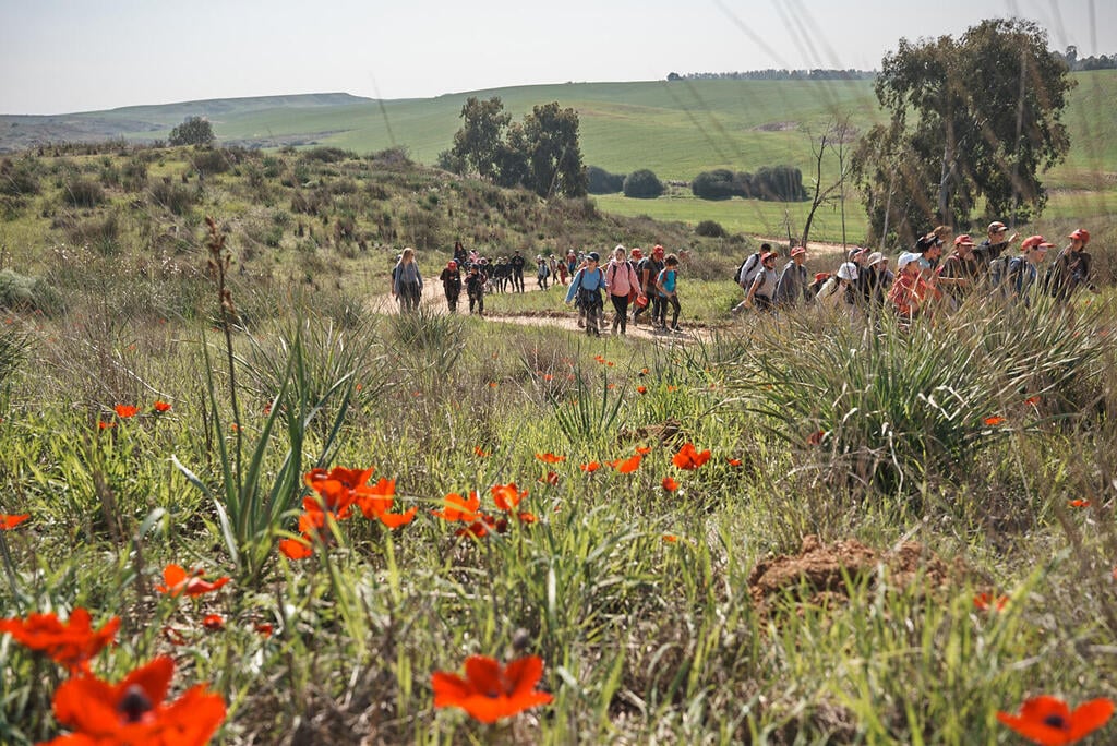 צעדת הכלניות (צילום: יקיר אסידו) צעדת הכלניות