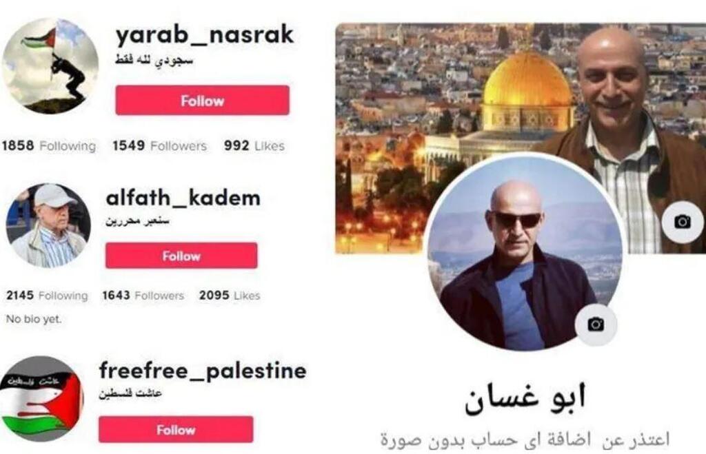 Social media profile of former Hezbollah member going by the moniker Abu Ghassan