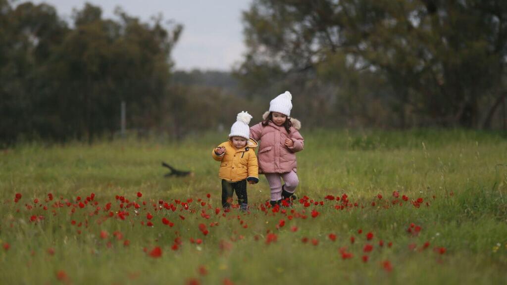 צילום: רועי עידן מטיילים בפסטיבל דרום אדום