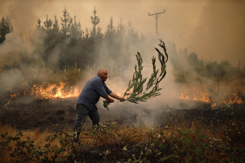 צילום: EPA צ'ילה שריפה שריפות יער