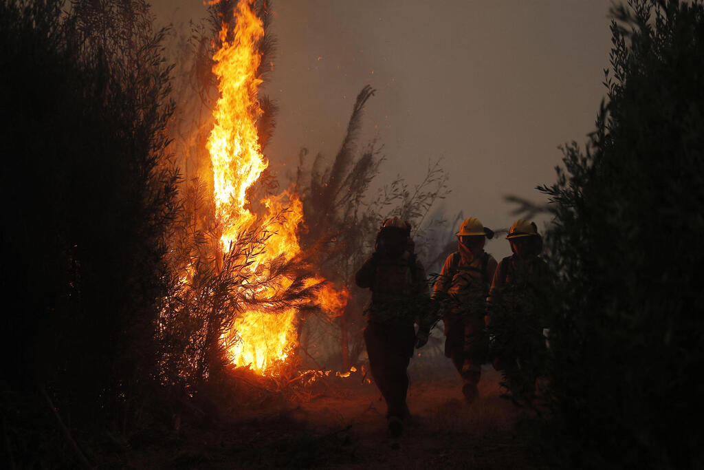 צילום: AFP צ'ילה שריפה שריפות יער