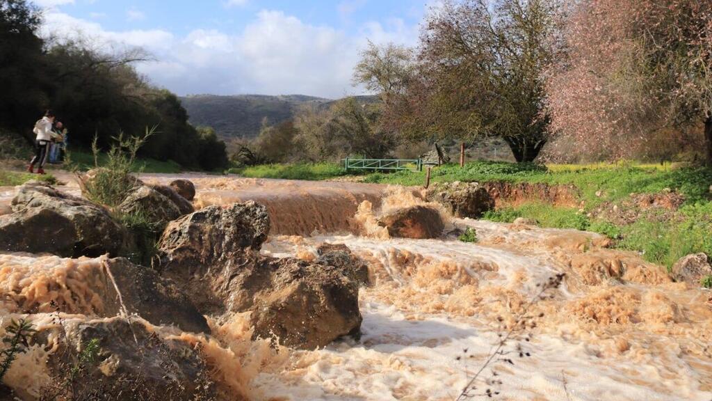 הזרימה בנחל הדישון (צילום: ענת זיסוביץ) נחל הדישון