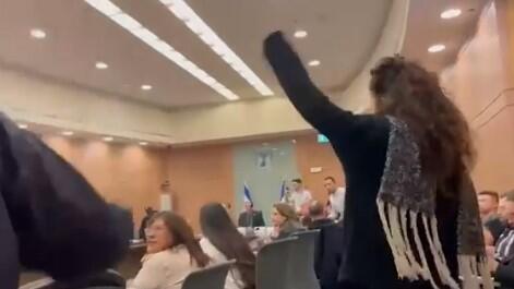 המהומה בוועדת החוקה (צילום: סיגל שהב) ועדת חוקה חוק ומשפט
