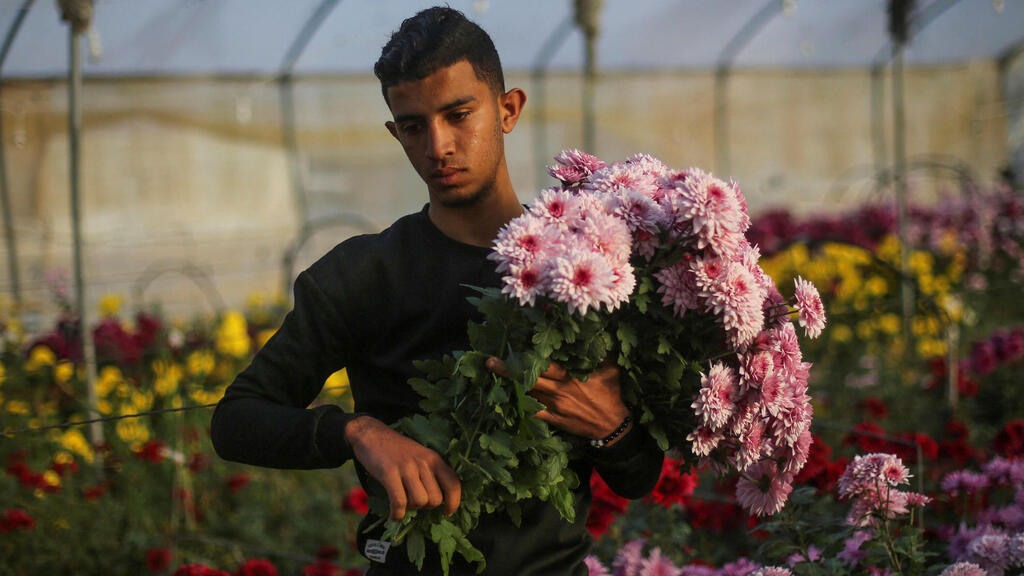 Palestinian Valentines