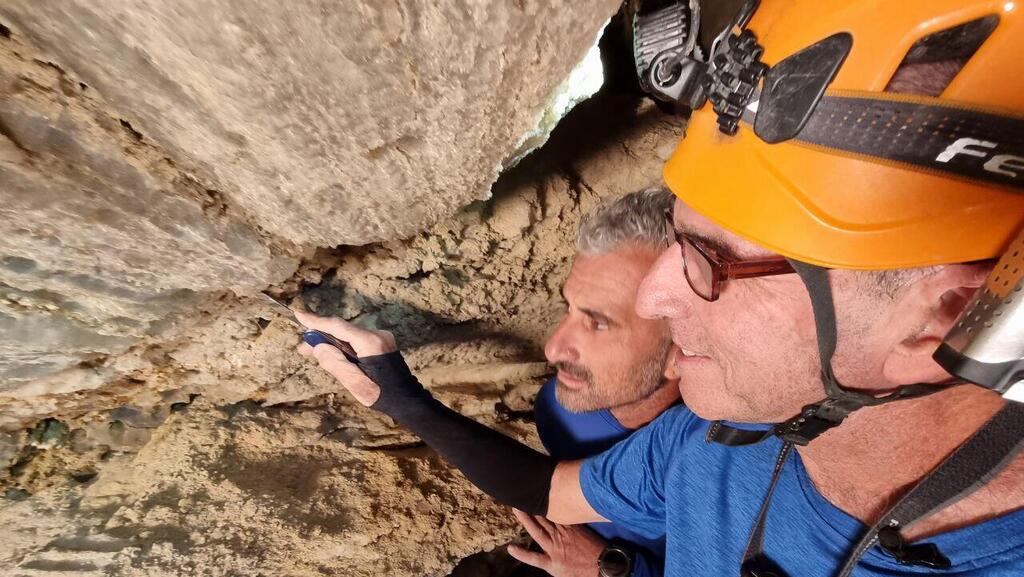 Up-close look at the strange plant found in the salt cave near the Dead Sea (Photo: Assaf Kamar) בוחנים את "הצמח" מקרוב
