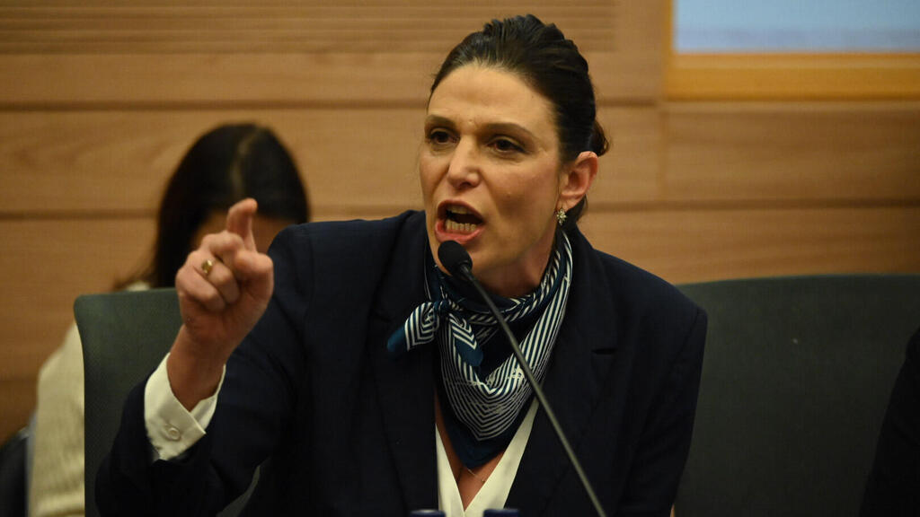 ח"כ רייטן (צילום: יואב דודקביץ') אפרת רייטן בועדת החוקה