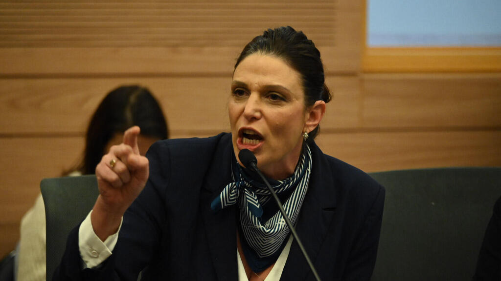"הצעת החוק פוגעת פגיעה אנושה בכנסת". רייטן (צילום: יואב דודקביץ') אפרת רייטן בועדת החוקה