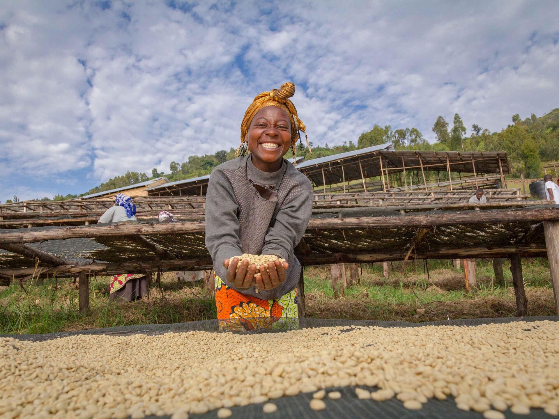 חווה לגידול קפה בקונגו