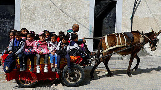 Loay Abu Sahloul takes the children to school on his donkey cart