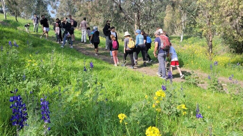 שמורת הטבע והגנים גבעת המורה (צילום: אתי קוריאט, רט''ג) שמורת הטבע והגנים גבעת המורה