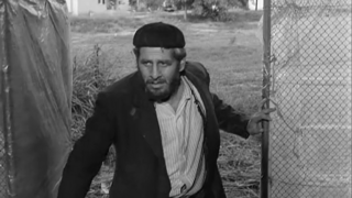 מתוך "סאלח שבתי" מתוך "סאלח שבתי"