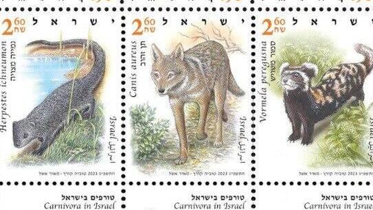הבולים החדשים