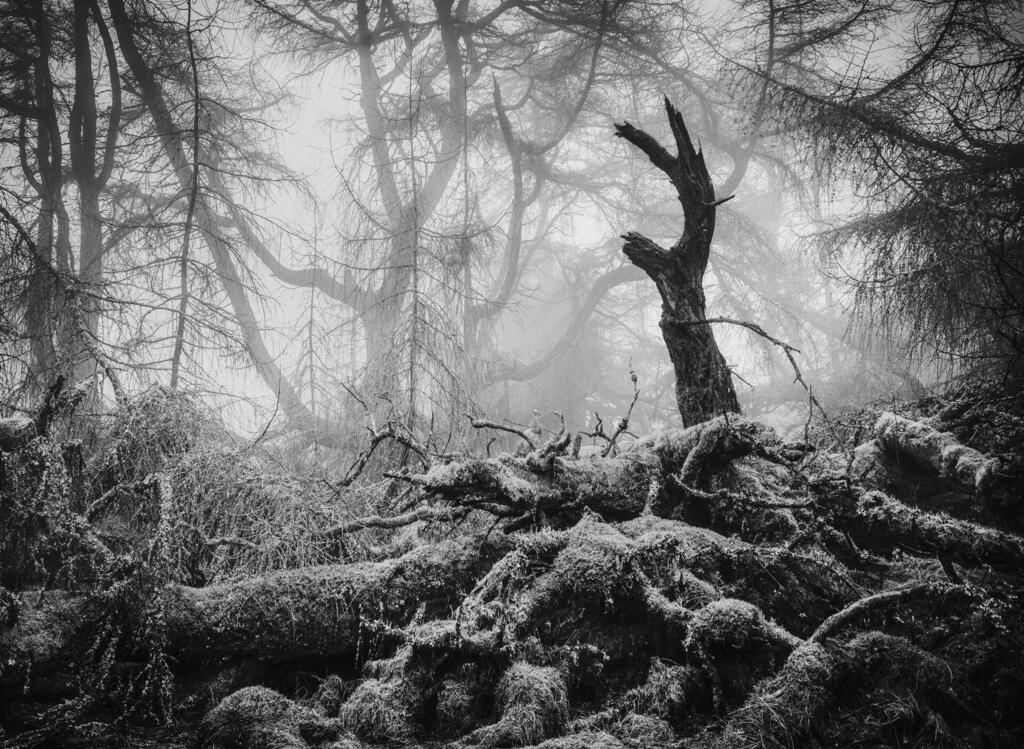 Great Mell Fell (© Matthew Turner / British Wildlife Photography Awards) Great Mell Fell