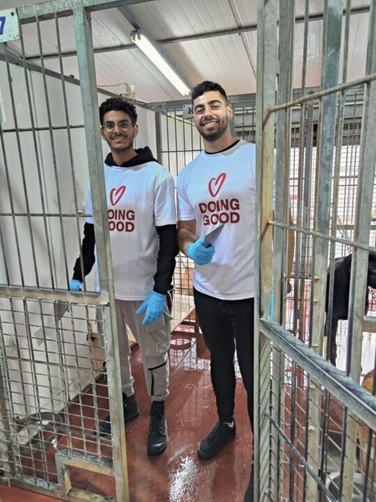 עובדי קווליטסט מתנדבים בבית המחסה "רחובות אוהבת חיות" 