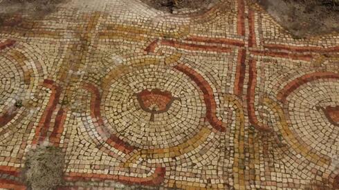 Ancient mosaic re-uncovered after 40 years along Israel National Trail - Vimarsana News