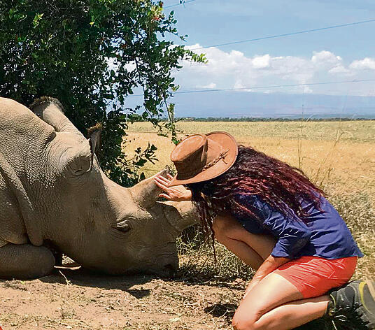 With a rhino in the field