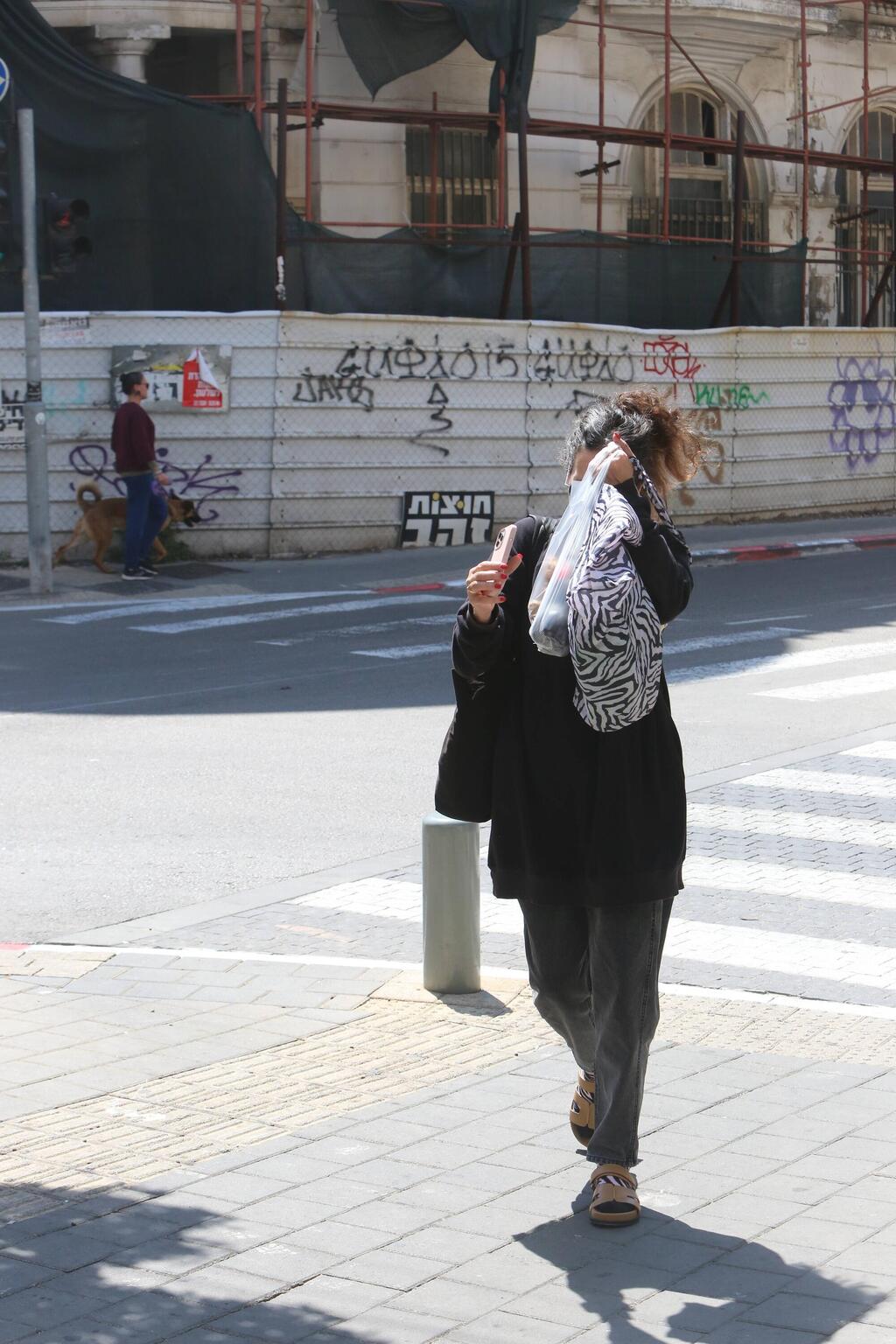 בצבעי הסוואה של זברה (צילום: מוטי לבטון) פפראצי