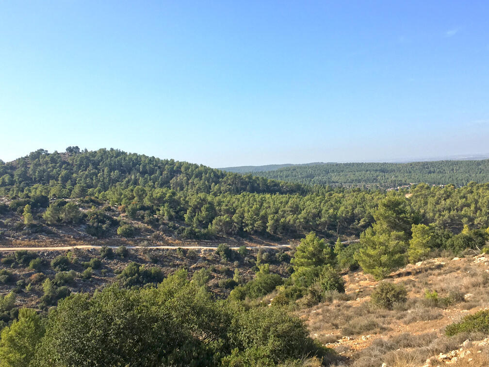 מקומות מומלצים לעל האש