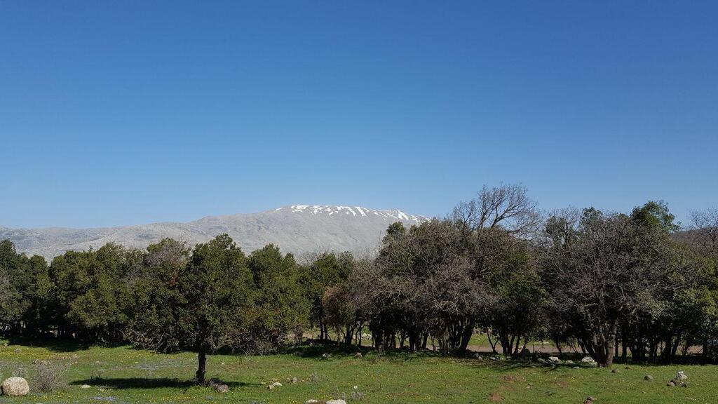 Israel's best picnic spots for the ultimate barbecue