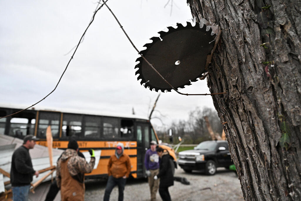 A saw blade is seen imbedded in the trunk of a tree, the day after a tornado hit Sullivan, Indiana