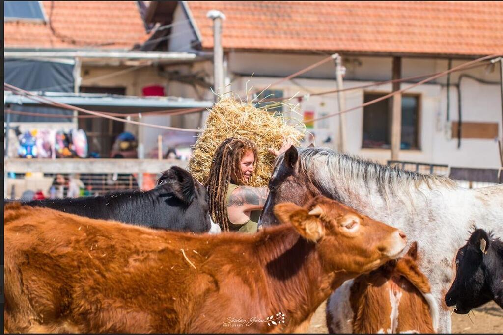ענבל קסם בחוות השאנטי (צילום: שירלי גולן) ענבל קסם בחוות השאנטי