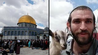 רפאל מוריס